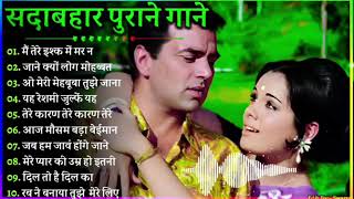 सदाबहार सुनहरे बॉलीवुड गाना#latamangeshkar#mohammedrafi#anuradhapaudwal#alkayagnik Hindi Old Songs