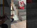 🏗️ Amazing Cement Hacks | DIY Construction &amp; Molding Ideas