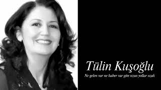 Tülin Kuşoğlu ~ Ne Gelen Var Ne Haber Var Gün Uzun Yollar Uzak Keman Taksimi
