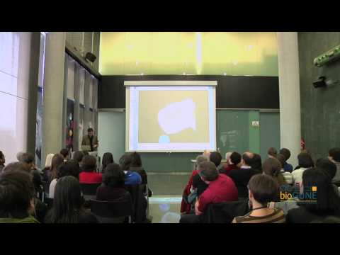 Christmas Lecture 2010: PhD Ralf Richter - Biomolecular hydrogels - from supramolecular...