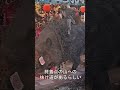 【巨大猪神】がかく祭りへようこそ！ #shorts
