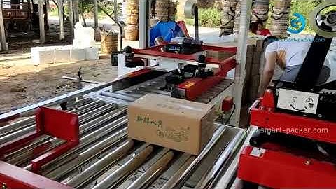 Automatic fresh fruit H type corner edge tape carton box sealing machine