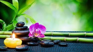 Relaxing Music for Stress Relief. Spiritual Background Music for Meditation, Massage, Spa, Yoga
Spiritual Zen Meditation Music Is perfect background for Relaxation , Yoga , Sleep, Massage. Relax your mind and body with this mindfulness meditative composition. Use it for Zen Meditation, positive chi energy, chakra healing, Mind Concentration , Balance as a Background
Make a perfect relaxation!
Music by Grey Houston
https://soundcloud.com/grey-houston/enlightenment
Join our amazing Official Facebook community:
www.facebook.com/YourRelaxMusic
Finally!!
Our Music is Live on Web from 1st of February!
NEW RELAXING MUSIC ALBUMS ARE AVAILABLE on ITUNES and other 130+ MUSICAL Stores and Steam Services!
ITUNES
https://itunes.apple.com/us/artist/mrm-team/id1042049102
See other links in About Section or Google
Original language of this video description is English. All other translations were made by Google Translator. Sorry for any inconvenience !!! Relaxing Music for Stress Relief. Spiritual Background Music for Meditation, Massage, Spa, Yoga