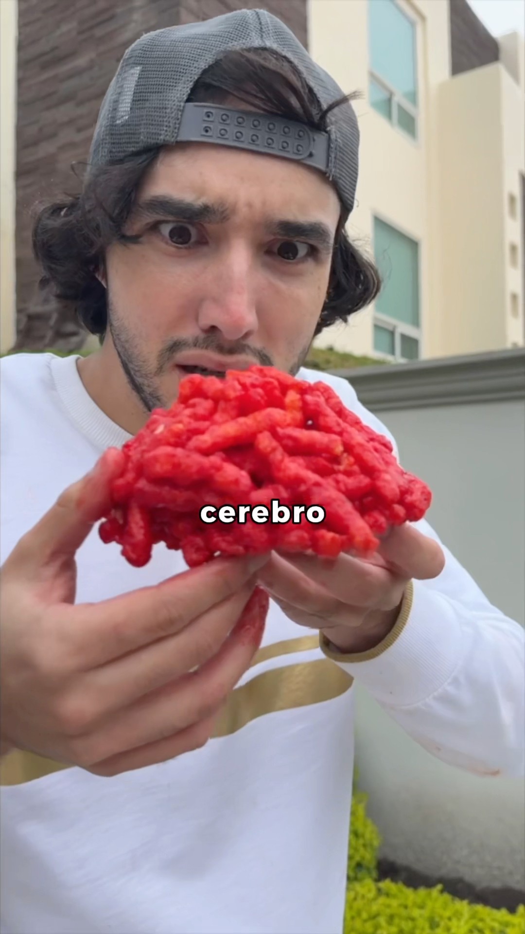 PUEDES HACER UN CEREBRO DE PAPITAS??ASI SABE