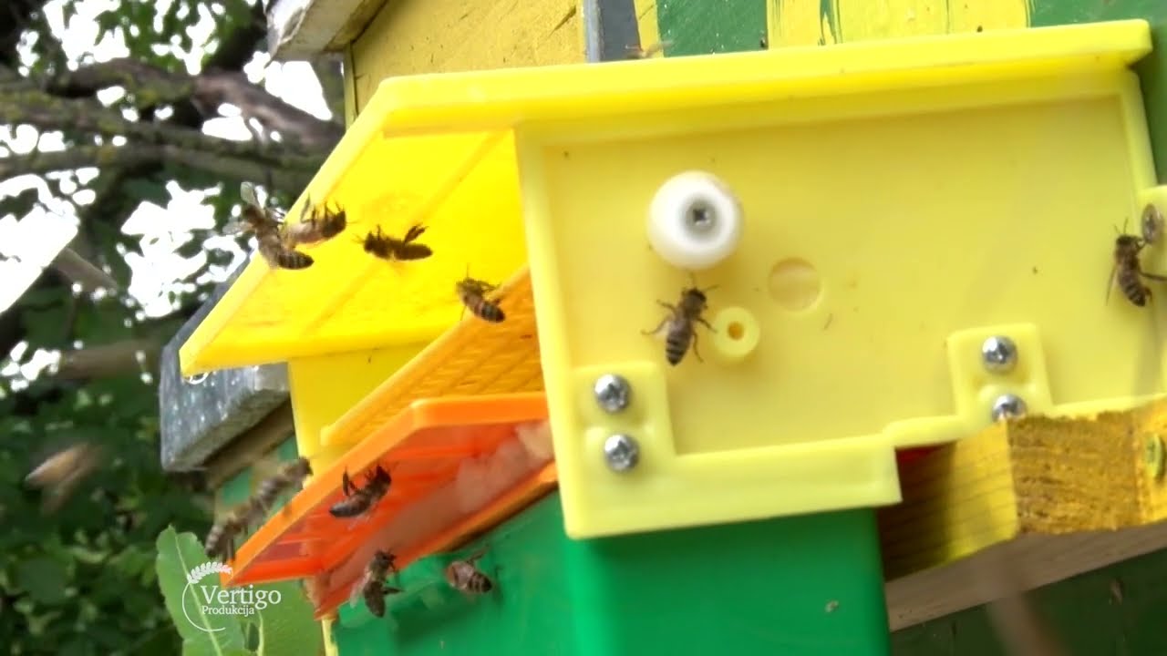 STA treba da sadrzi KVALITETNA KOSNICA - U nasem ataru 937