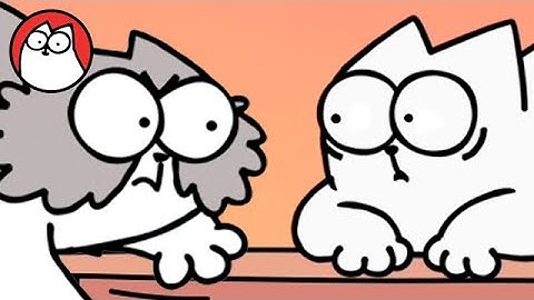 CAT FIGHT (Colour Special!)