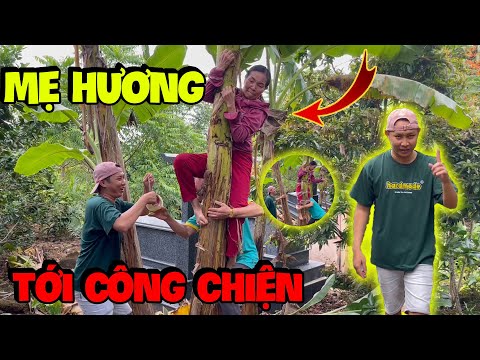 Video Mẹ Hương Dính Bẫy Hải Ka Cũng Là Leo Cây Chuối Mà Nó... - youtube