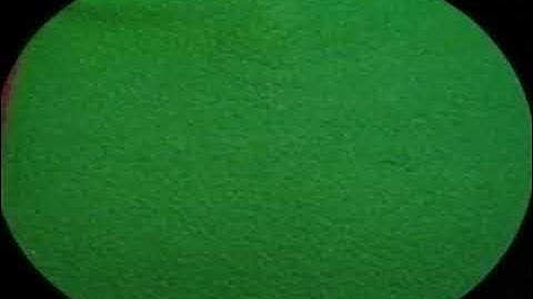 Camp WannaRunnaRound (1999 Version) Part 16