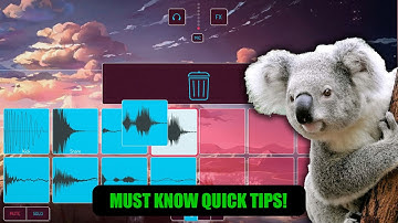 5 quick tips for Koala Sampler! 🐨