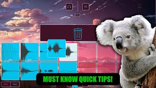 5 quick tips for Koala Sampler! 🐨