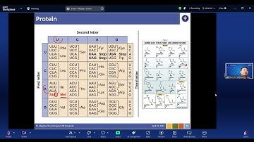Kuliah Datamining 10 : Data Mining dalam Bioinformatik (Dr. Sony Hartono Wijaya, S.Kom, M.Kom)