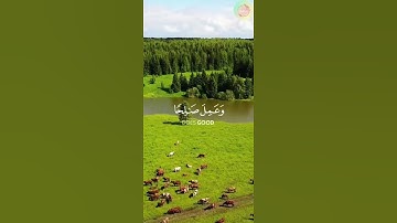 ومن أحسن قولا ممن دعا إلى الله، بصوت القارئ أحمد النفيس
