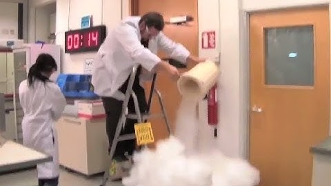 Automate Immunoprecipitation and Nucleic Acid Extraction with KingFisher™ Flex purification system