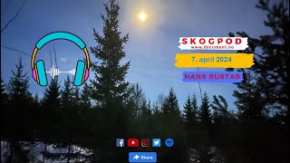 Skogpod 7. april 2024