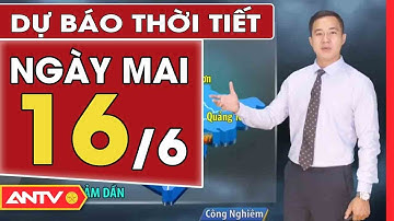 Dự Báo Thời Tiết Đêm Nay Và Ngày Mai 16/6: Bắc Bộ Đêm Và Sáng Sớm Mưa Rào Và Dông | ANTV