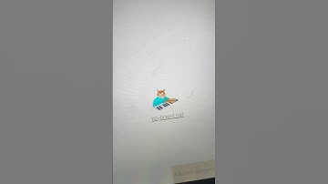 How to make Keyboard Cat in Little Alchemy! #Cat #littalchemy #Shorts