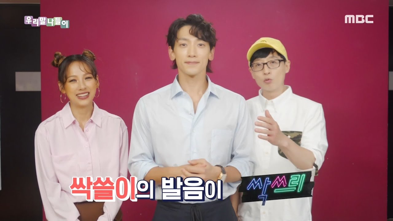 [우리말 나들이] 특집! ‘싹쓰리’와 함께 하는 우리말 - 올킬 / 싹쓸이 20200805