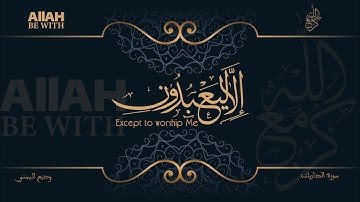 وَمَا خَلَقْتُ الْجِنَّ وَالْإِنسَ إِلَّا لِيَعْبُدُونِ | سورة الذاريات - وديع اليمني