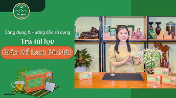 Trà túi lọc Giảo Cổ Lam | hướng dẫn sử dụng và công dụng