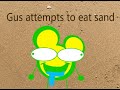 Gus attempts to eat sand