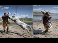 RDR2- All Animal Attack And Bite Animation Epic Wild Moments''Ep.27