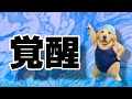 【プール】覚醒しました