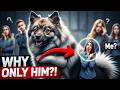 Why Keeshonds Choose ONE Person and Stay Loyal for Life?