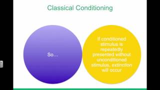 powerpoint 3 psy315