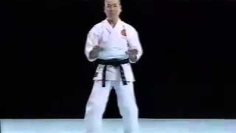 Tensho Shito Ryu