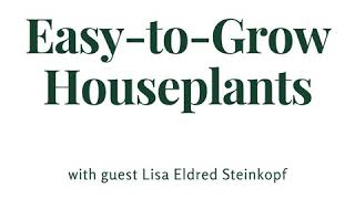 SG598：リサエルドレッドスタインコフの成長しやすい観葉植物トップ
