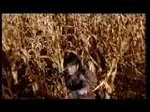 Ranker Video