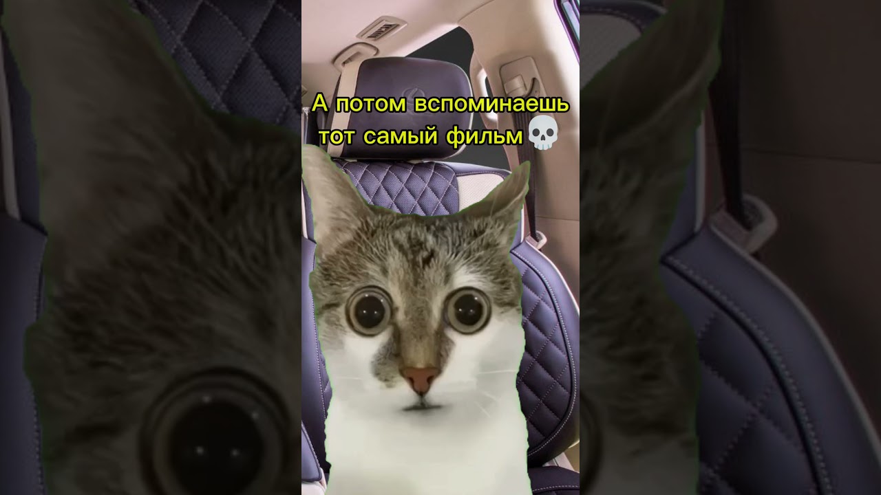 Котяра попал в фильм 