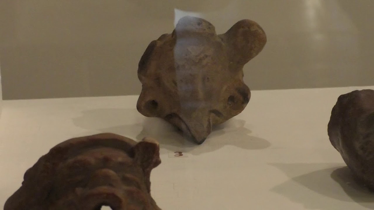 Gobierno recupera piezas arqueológicas y las expone como testimonio de nuestra memoria roxana ac odyssey