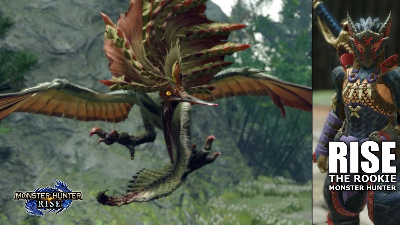 【MHR Solo】 Aknosom - Dancing A-purr-ition ║ MHR LS Gameplay PC