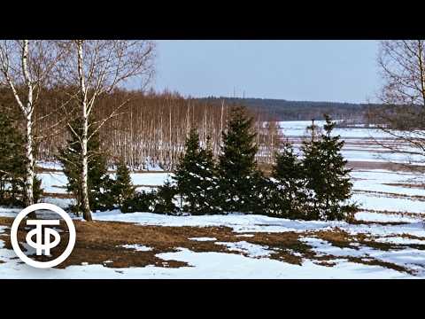 Марк Бернес "С чего начинается Родина" (1977)
