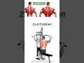 🔥 Want a bigger, wider, and stronger back? Add these exercises to your workout routine!