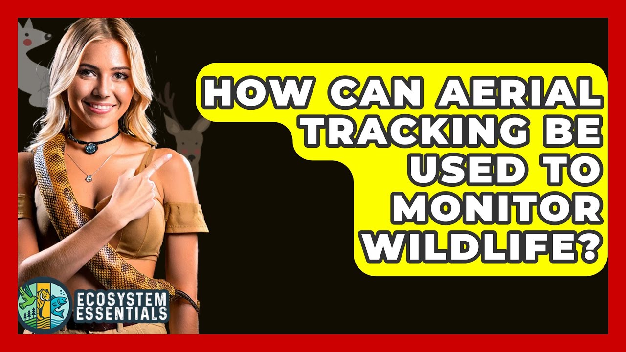 How Can Aerial Tracking Be Used to Monitor Wildlife? - Ecosystem Essentials