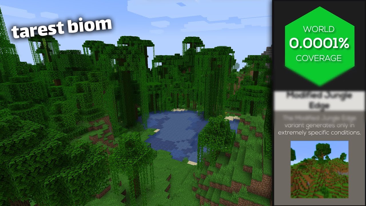 The Rarest Biome In Minecraft i found the rarest biome in minecraft - YouTube