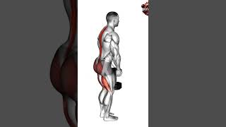 Single Dumbbell Stiff Leg Deadlift #workout #motivation #exercisemotivation #shoulder #strongabs