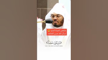 ملخص الحياه الدنيا #quran #تلاوات_ياسر_الدوسري #تلاوة_خاشعة #تلاوة_هادئة