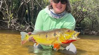 Fish Tales Brazil with Bucket List Fly Fishing - Now booking January 2025!