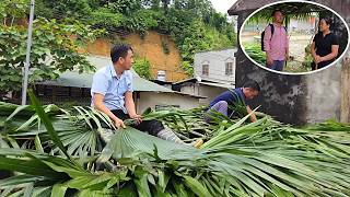 Tien unexpectedly appeared and helped Hang roof Linh's house.