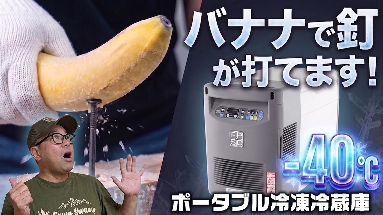 スゴイぞ!バナナで釘が打てる!ポータブル冷凍冷蔵庫!(TWINBIRD ポータブル冷凍庫冷蔵庫 SC-DF25WL)