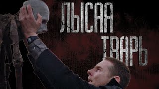 :  T ( aco 2020)