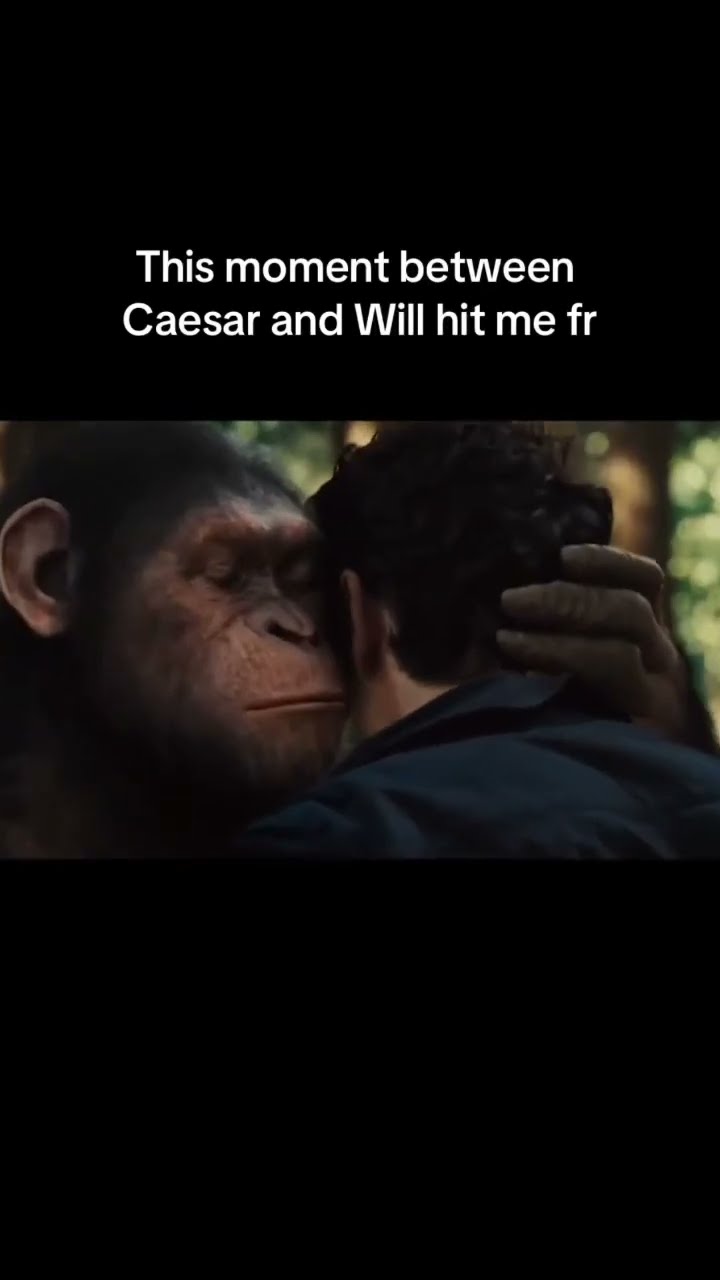 When Caesar said this ? #ncs #nocopyrightsounds #planetoftheapes #caesar #turiipipip