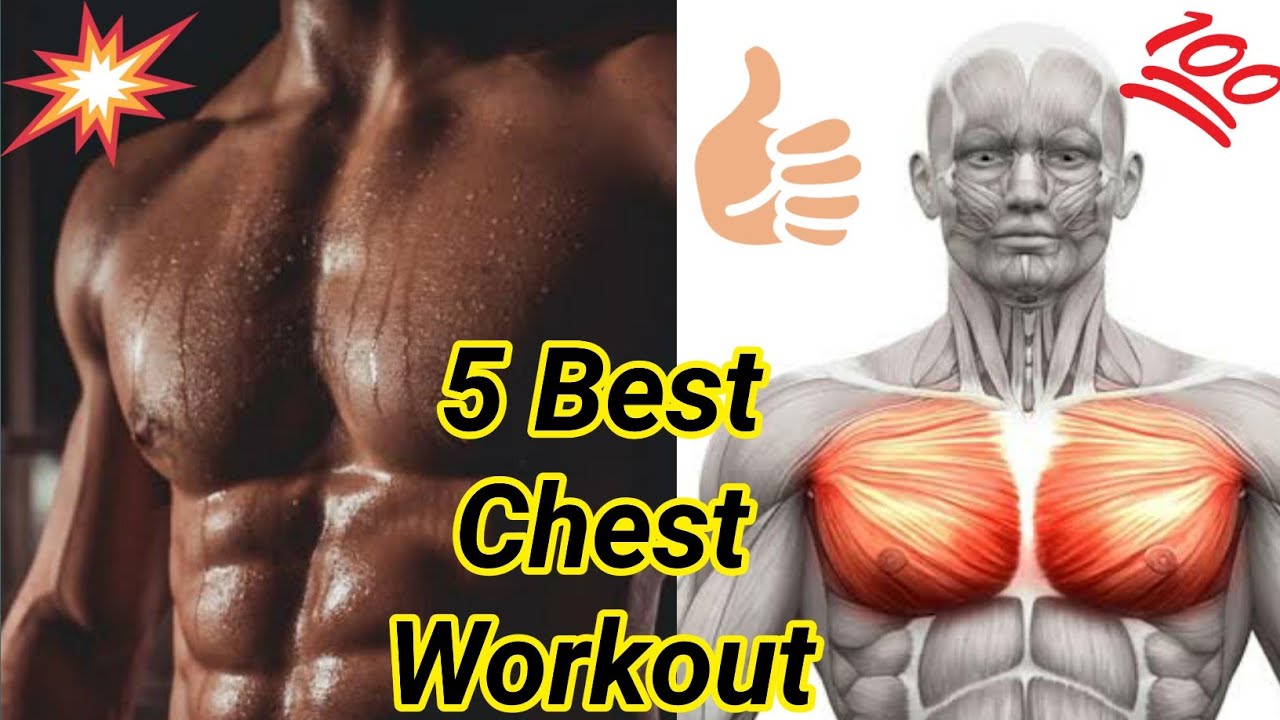5 Best Chest workout | Chest workout at home | Chest Workout at gym| Chest exercise| Workout at home
