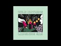 Wild Nothing - Laughing Gas (Full EP)