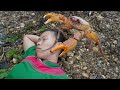 Primitive Life - Survival in the rainforest - top video fishing, catch big crab