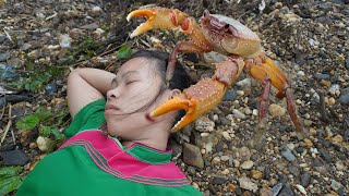 Primitive Life - Survival in the rainforest - top video fishing, catch big crab