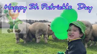 Who is Saint Patrick | St Patrick's Day Celebration